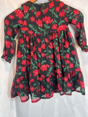 Carter's Black Dress with Red Floral and Green Leaves